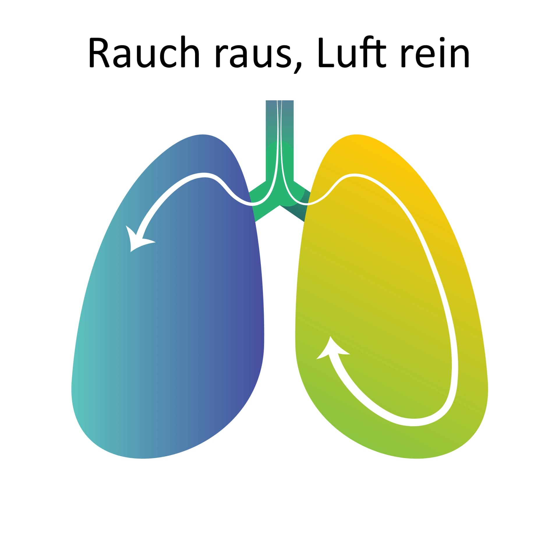 Logo: Rauch raus, Luft rein