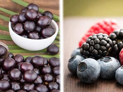 Bild: Acai-Beeren, Hinbeeren, Brombeeren, Heidelbeeren