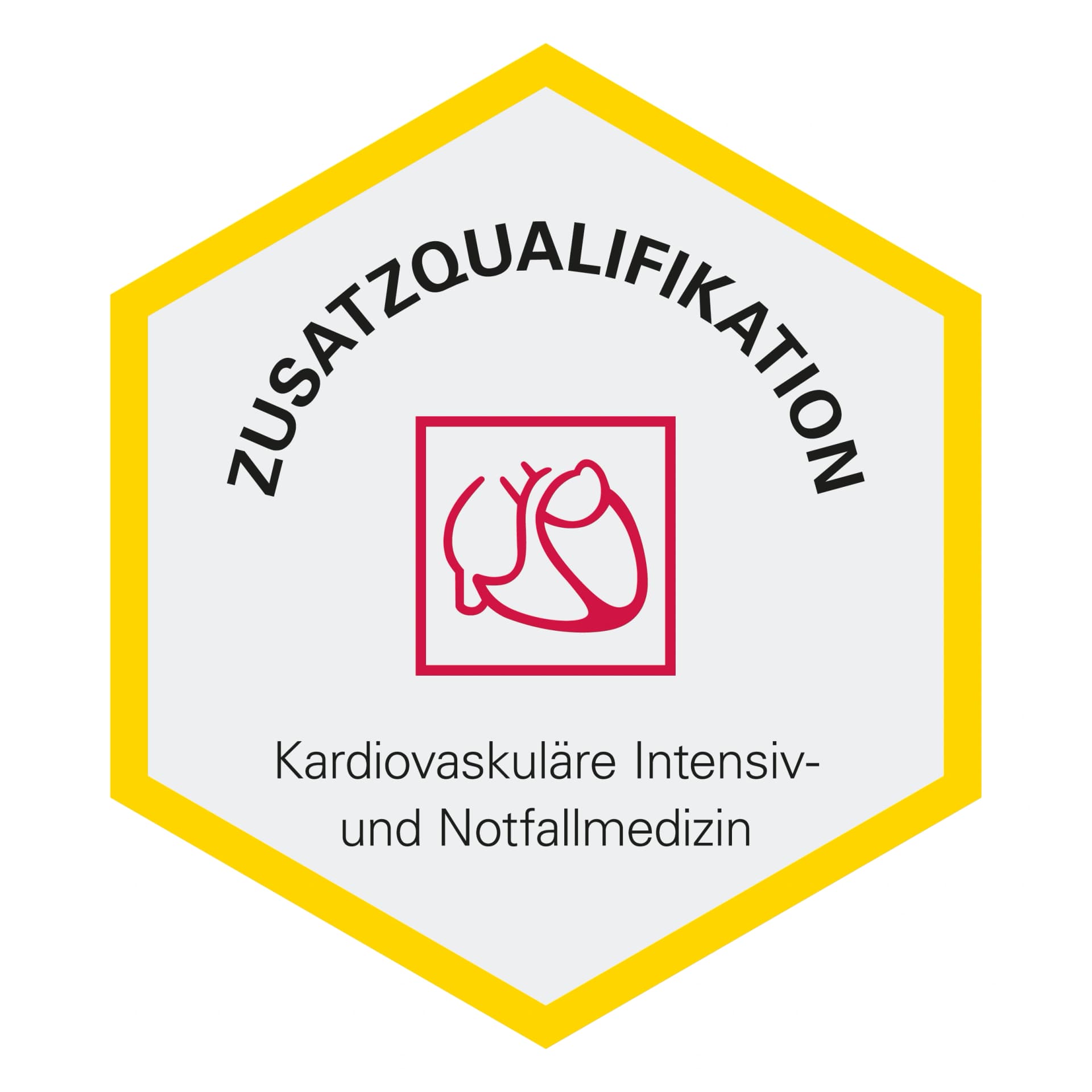 siegel-prof-stremmel-Zusatzqualifikation-Kardiovaskuläre-Intensiv-Notfalmedezin