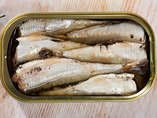 Bild: Dosenfisch