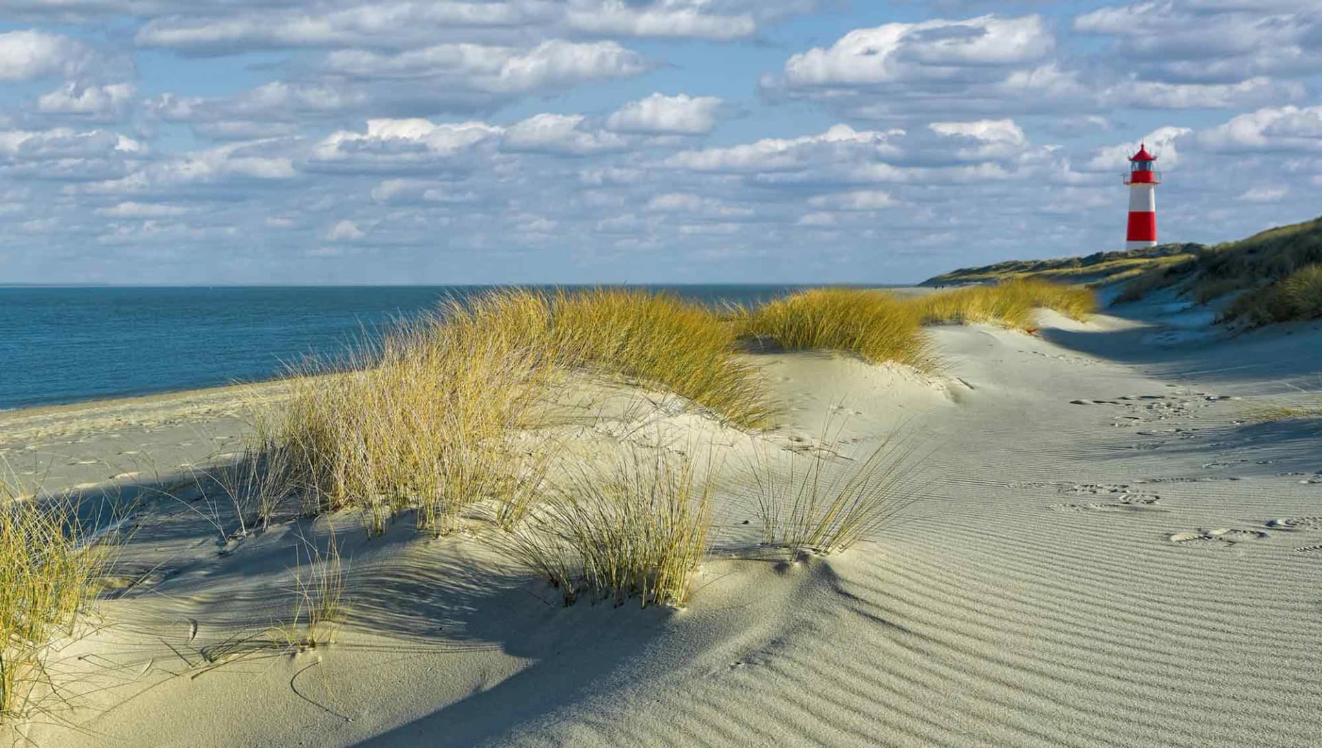 Bild: Leuchtturm und Stand von Sylt