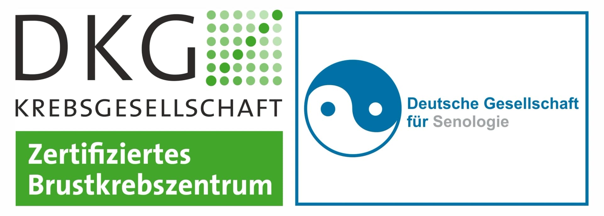 Zertifikat DKG Krebsgesellschaft Brustzentrum 2026