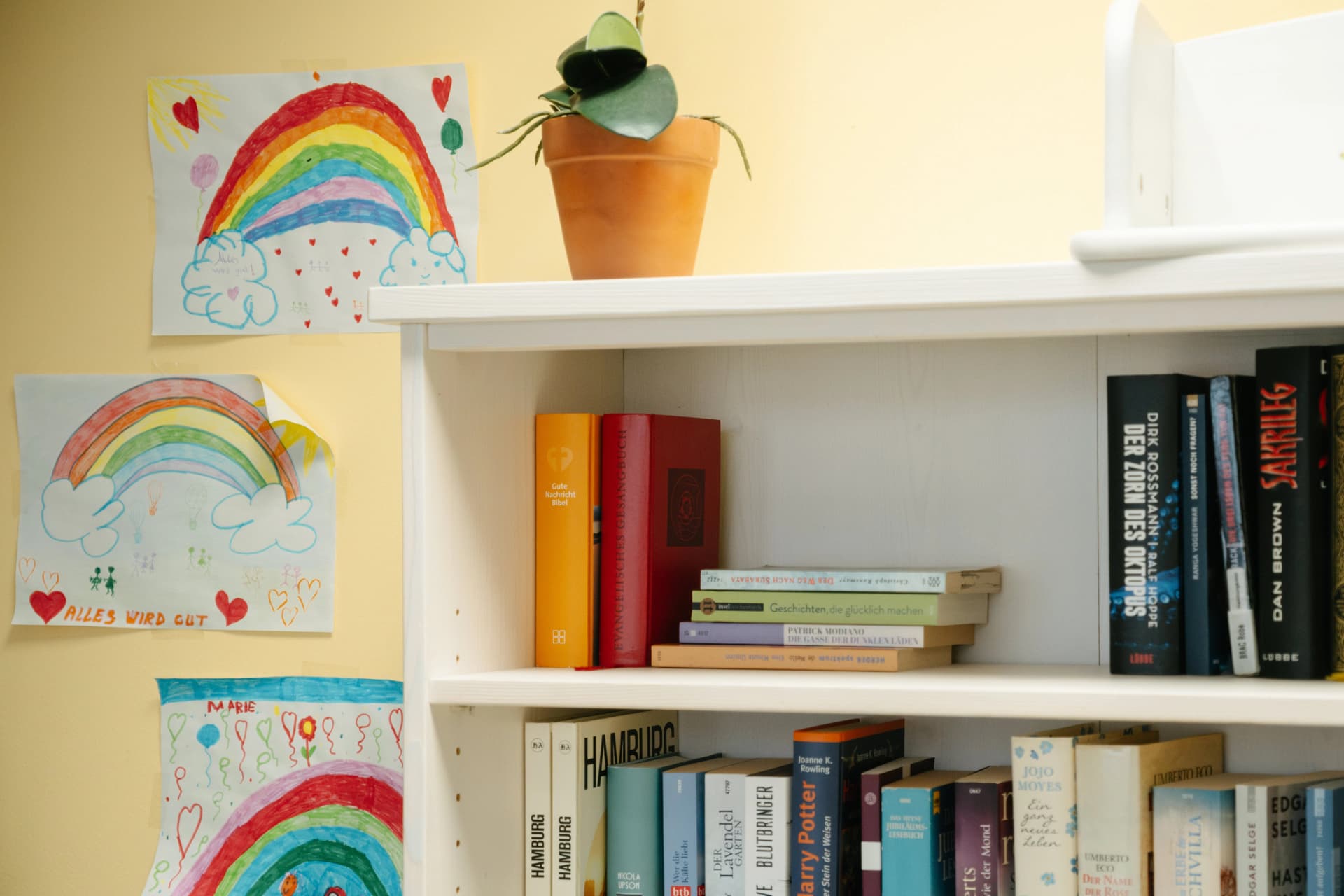 Bild: Bücherregal auf der Palliativstation
