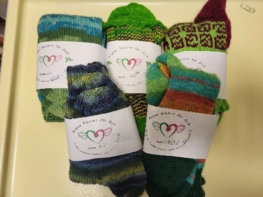Selbstegestrickte Socken vom Verein Eierstockkrebs Deutschland e.V.