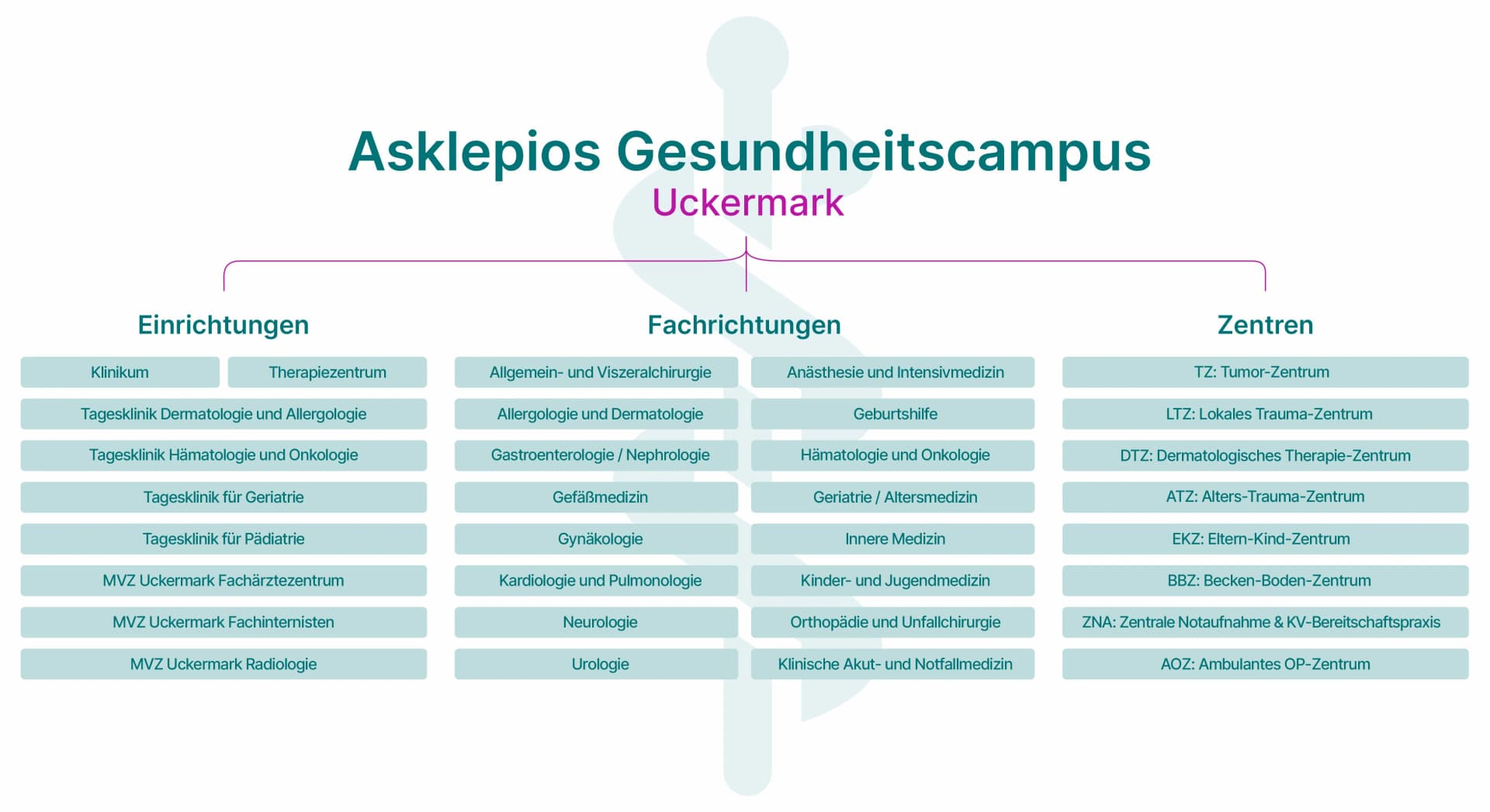 Bild: Es wird ein Organigramm dargestellt mit den Fachrichtungen, Zentren und Einrichtungen am Standort Schwedt.