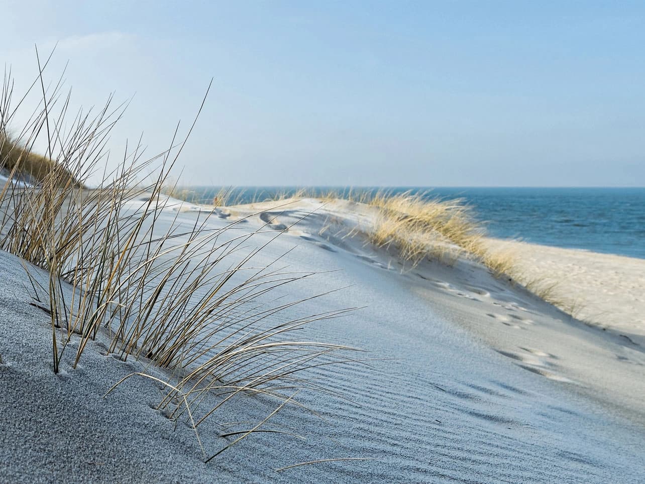Bild: Düne auf Sylt