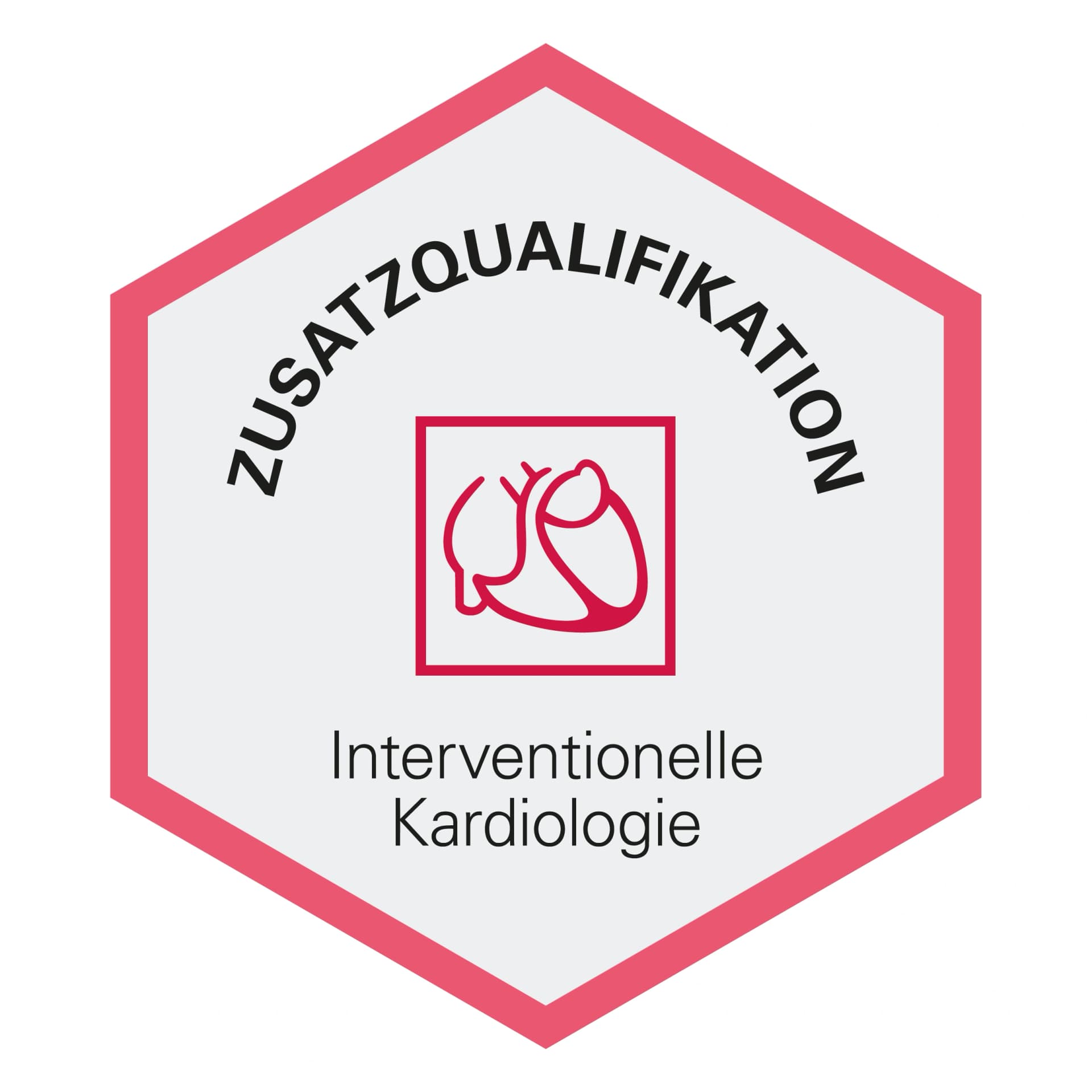 siegel-prof-stremmel-Zusatzqualifikation-Interventionelle-Kardilogie