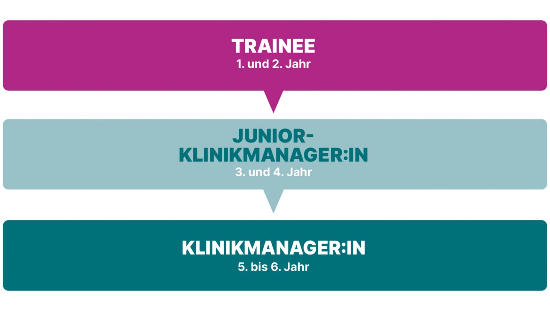 Infografik: Drei Entwicklungsstufen des Nachwuchsführungskräfte-Programms, Trainee, Junior-Klinikmanager und Klinikmanager