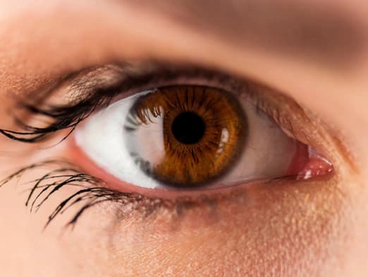 Bild: Braunes Auge