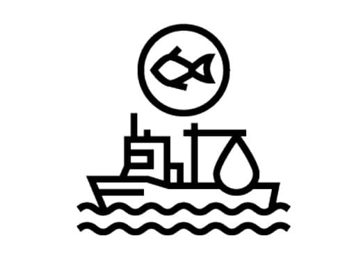 Grafik: Fischfang