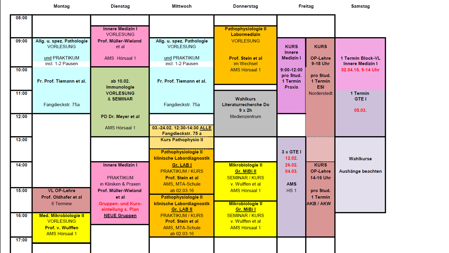 BeispielStudienplan Asklepios Campus Hamburg