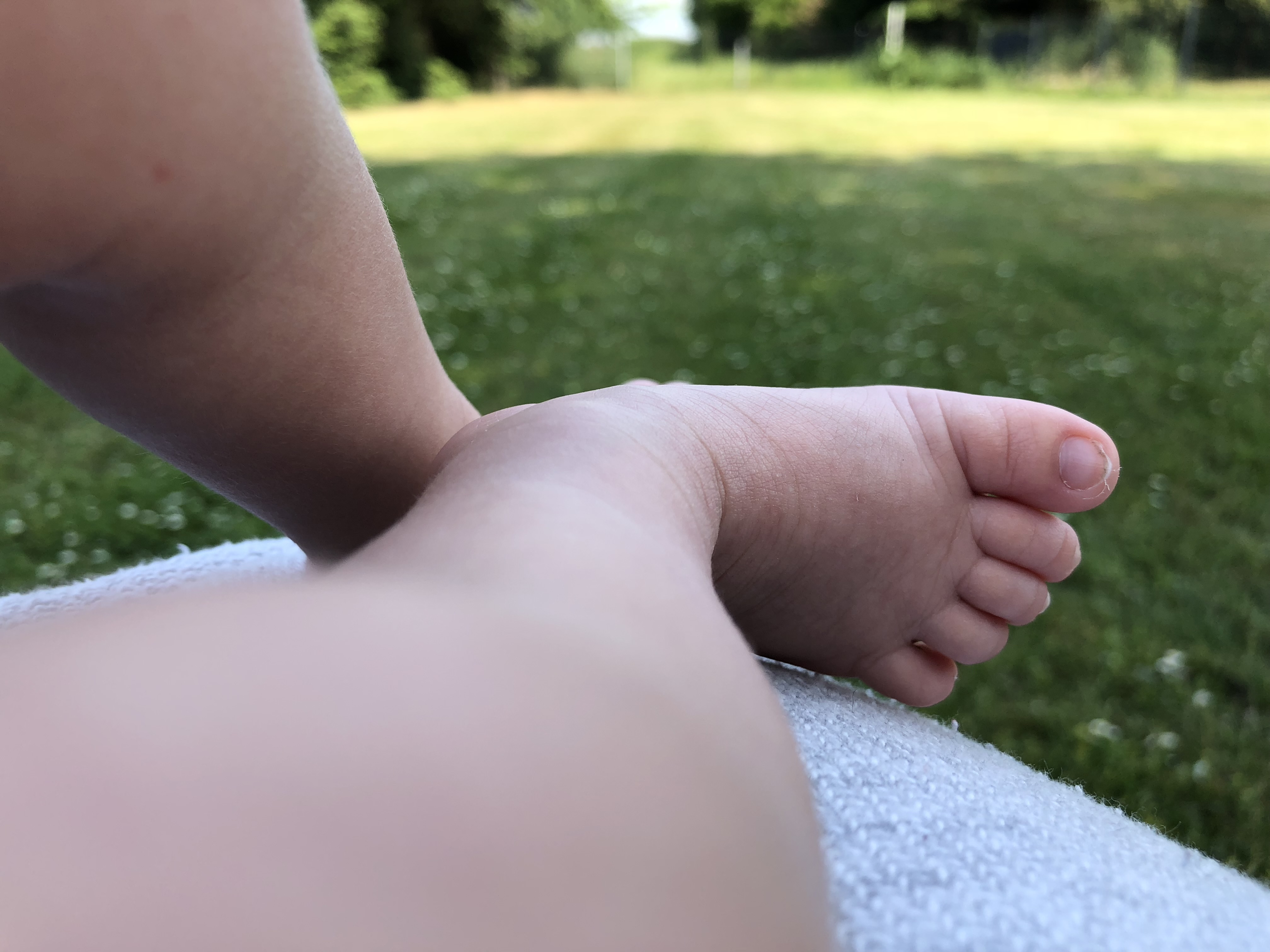 Babys im Sommer Babys im Sommer