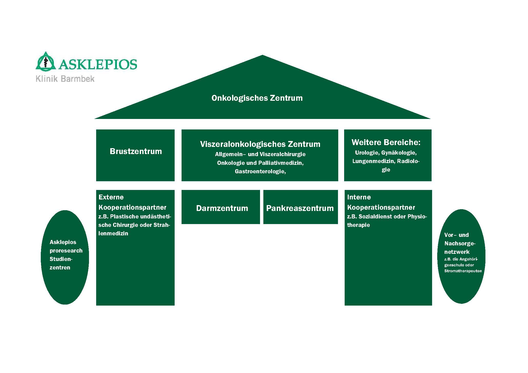 Organigramm Onkologisches Zentrum Organigramm des Onkologischen Zentrums