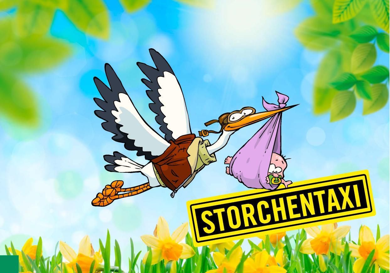 Storchentaxi Storch72
