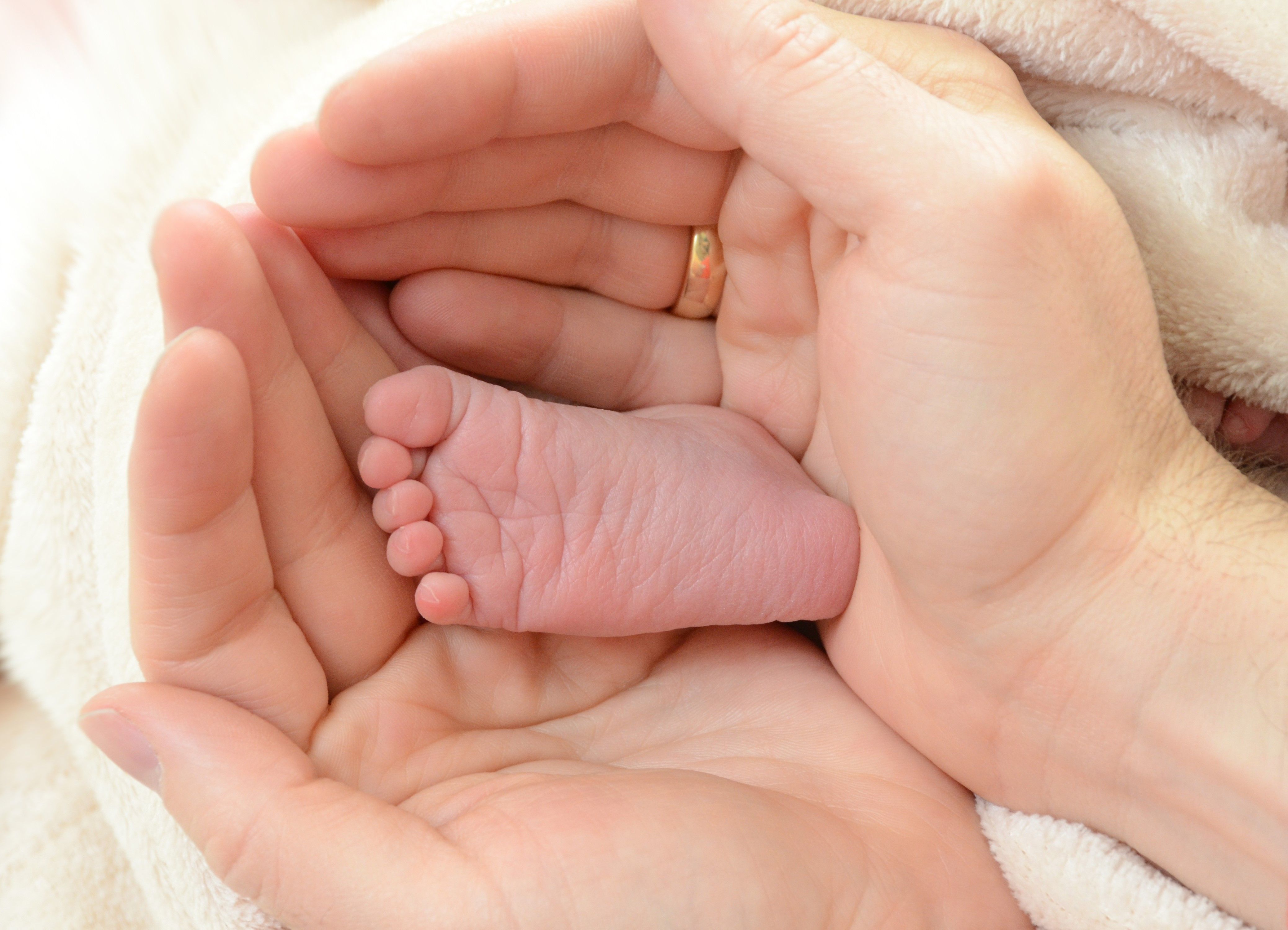 Babyfuss und Elternhände Babyfuss und Elternhände72