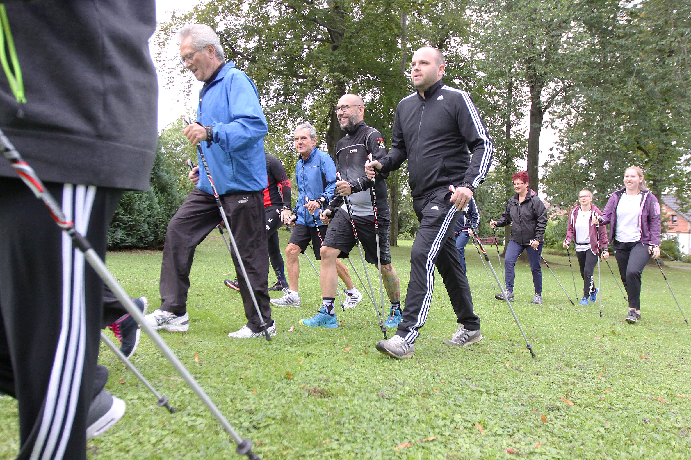 Nordic Walking nordic walking