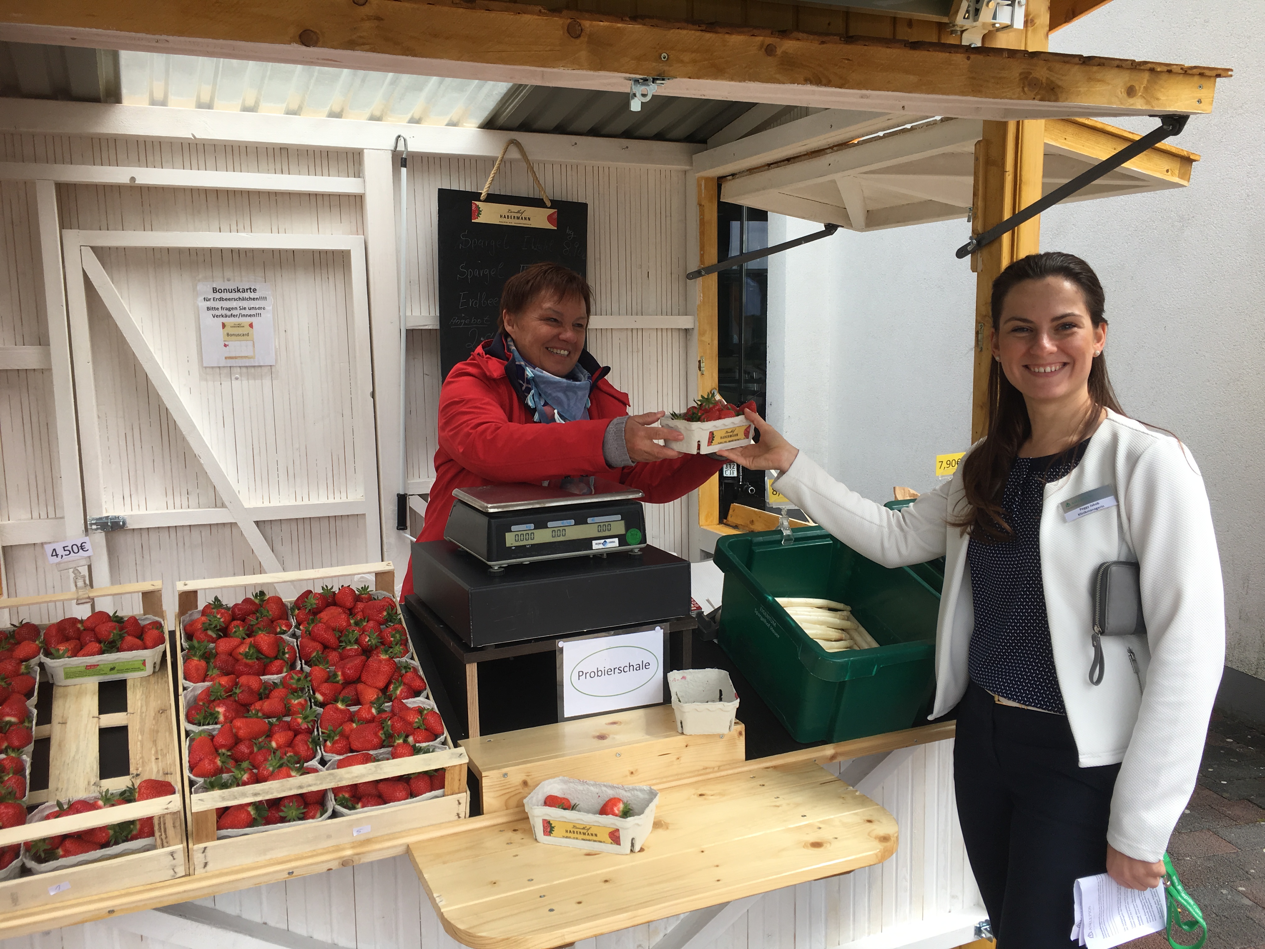 Erdbeerstand1 BILD