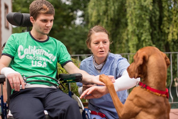 therapiehund Therapiehund Elmo