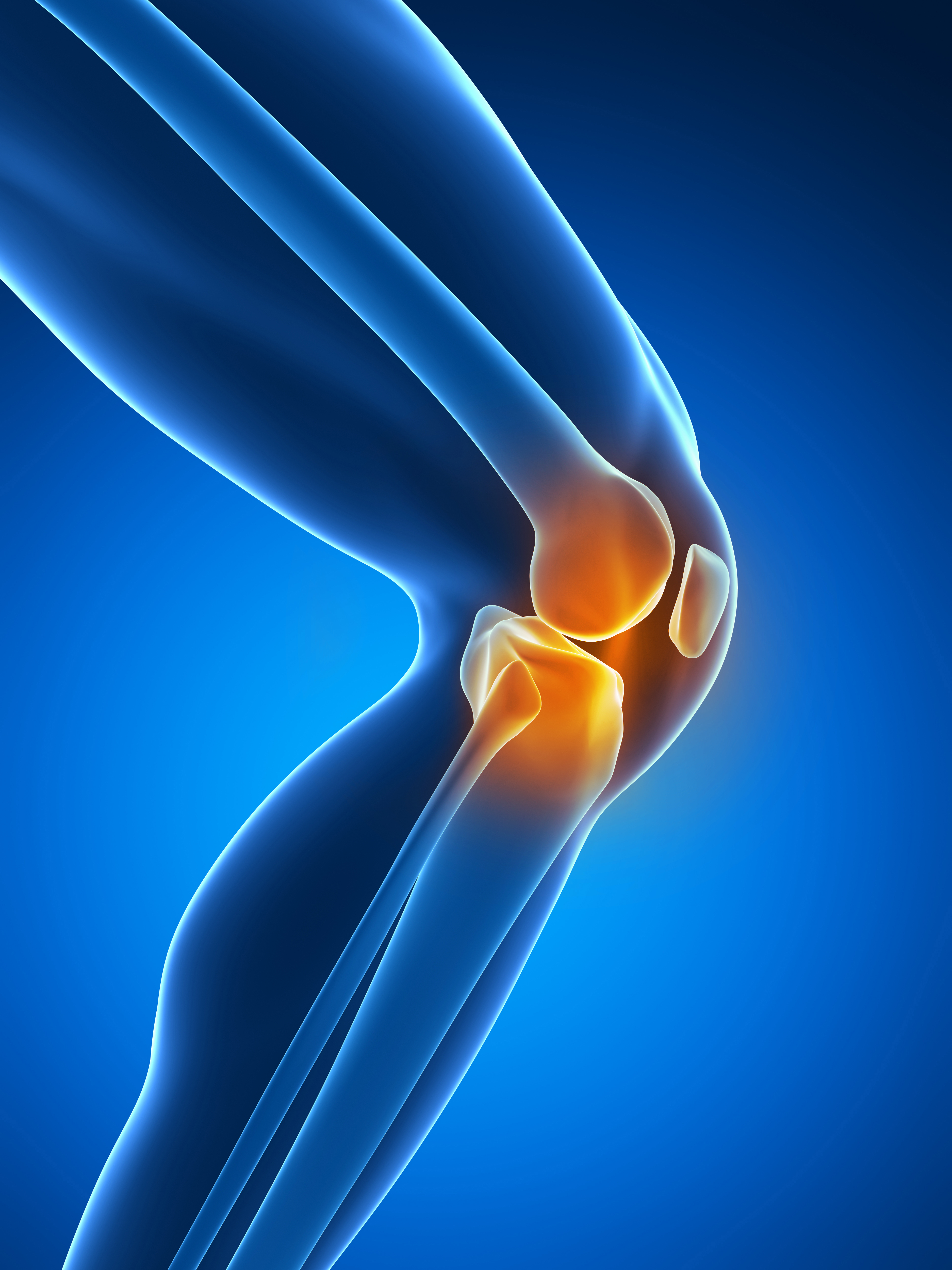 kniegelenk-shutterstock kniegelenk-shutterstock
