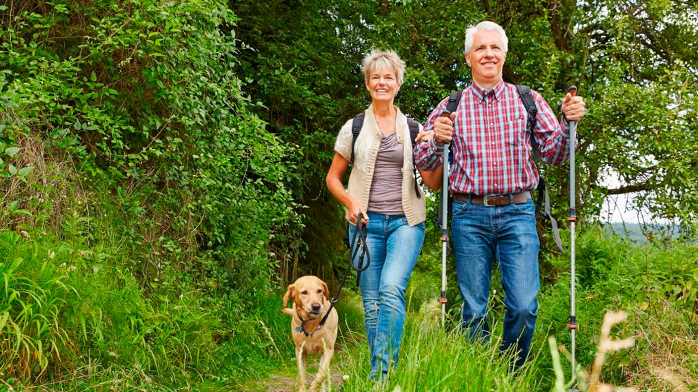 Paar mit Hund beim Wandern Paar mit Hund beim Wandern