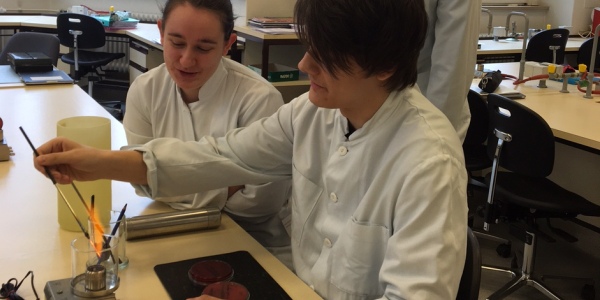 MTLA Unterricht Mikrobiologie Bild: MTLA Unterricht Mikrobiologie