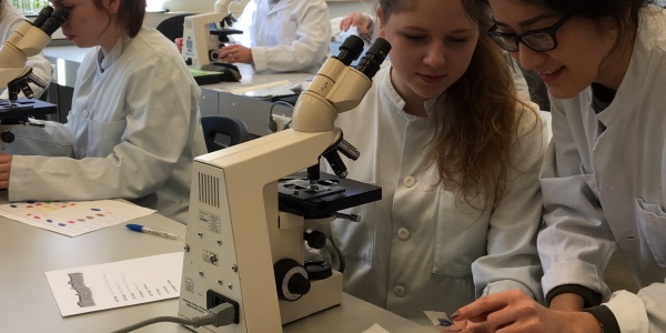 MTLA Schule Unterricht Haematologie Bild: MTLA Schule Unterricht Haematologie