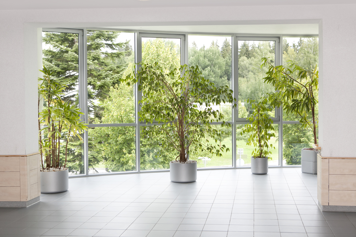 Asklepios Klinik und Natur Asklepios Klinik und Natur