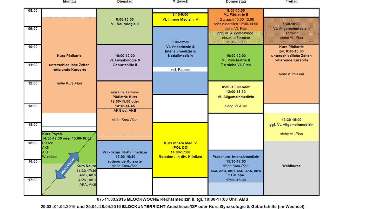 BeispielStudienplan  Asklepios Campus Hamburg
