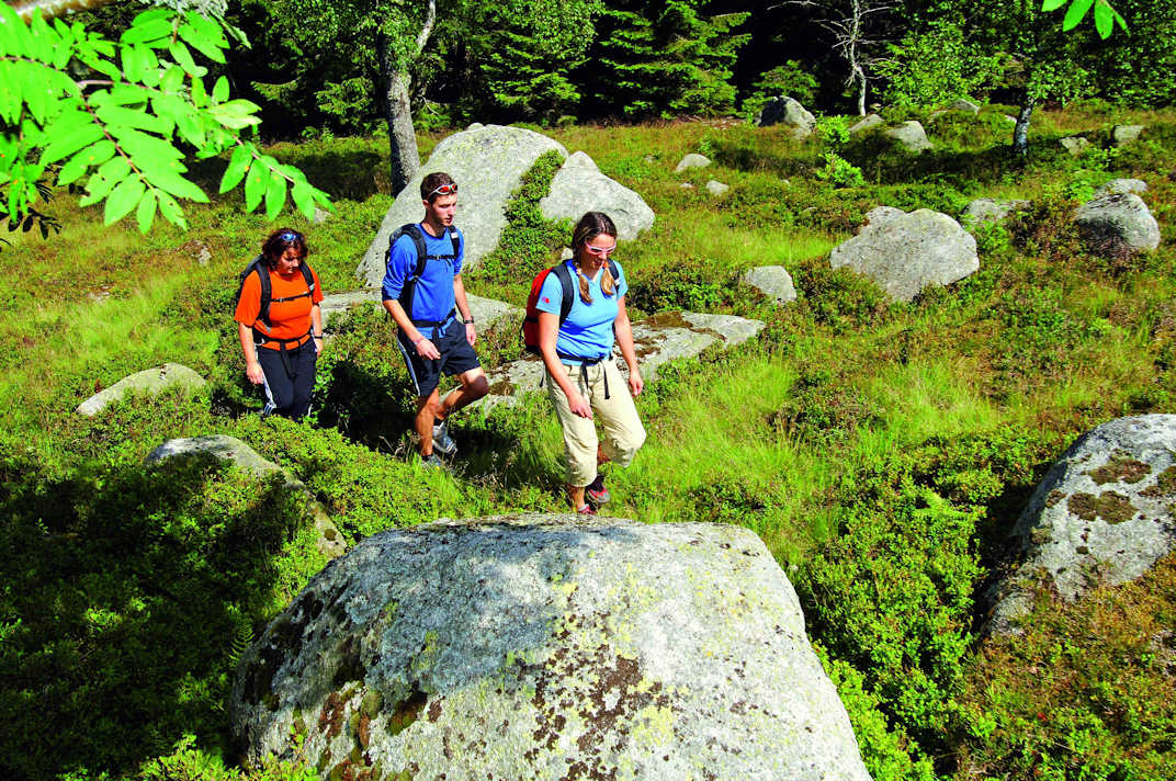 Wandergruppe_k Bild:Wandergrupe_k