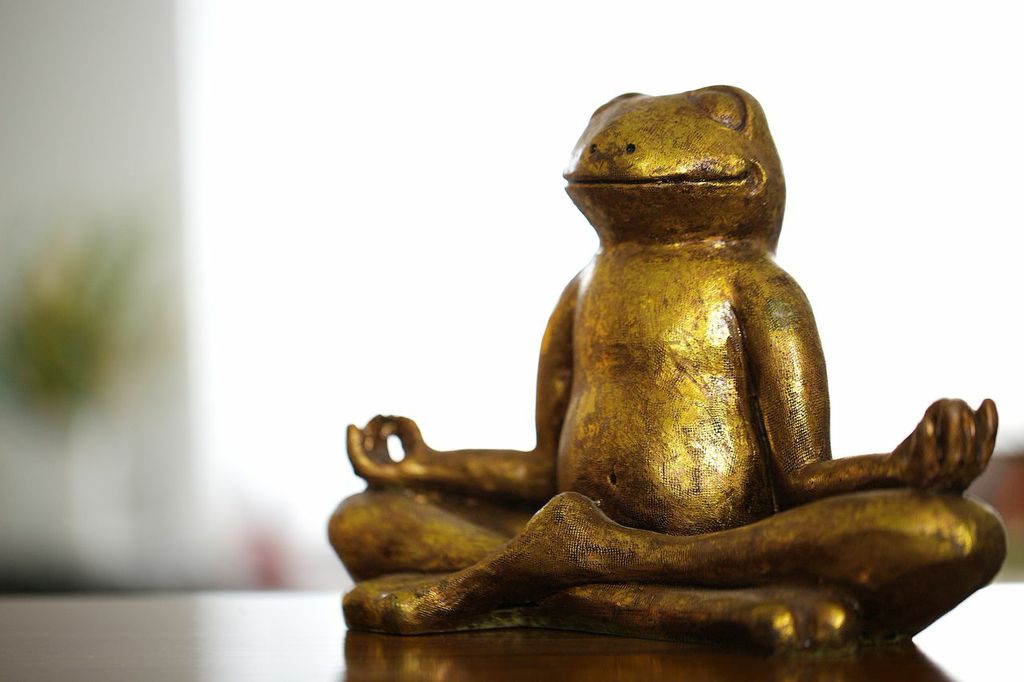 Goldener Frosch Figur in der TCM