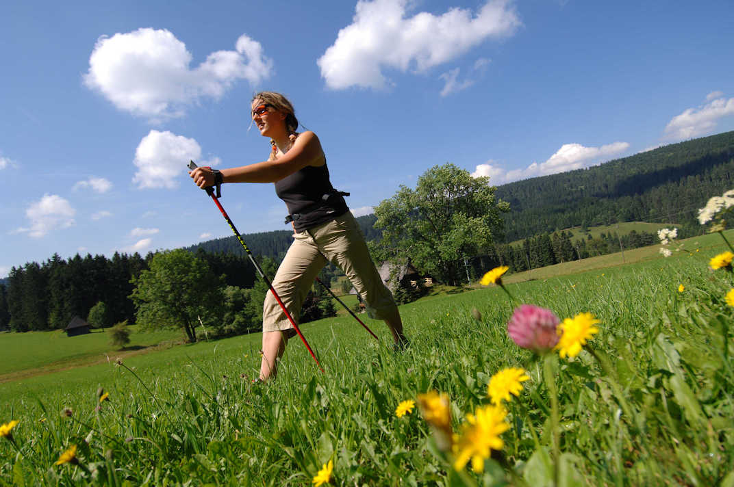 NordicWalking4 Bild:NordicWalking4_k