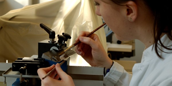 MTLA Unterricht Histologie Bild: MTLA Unterricht Histologie