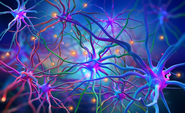 neuro-uro-kbz neuro-uro-kbz