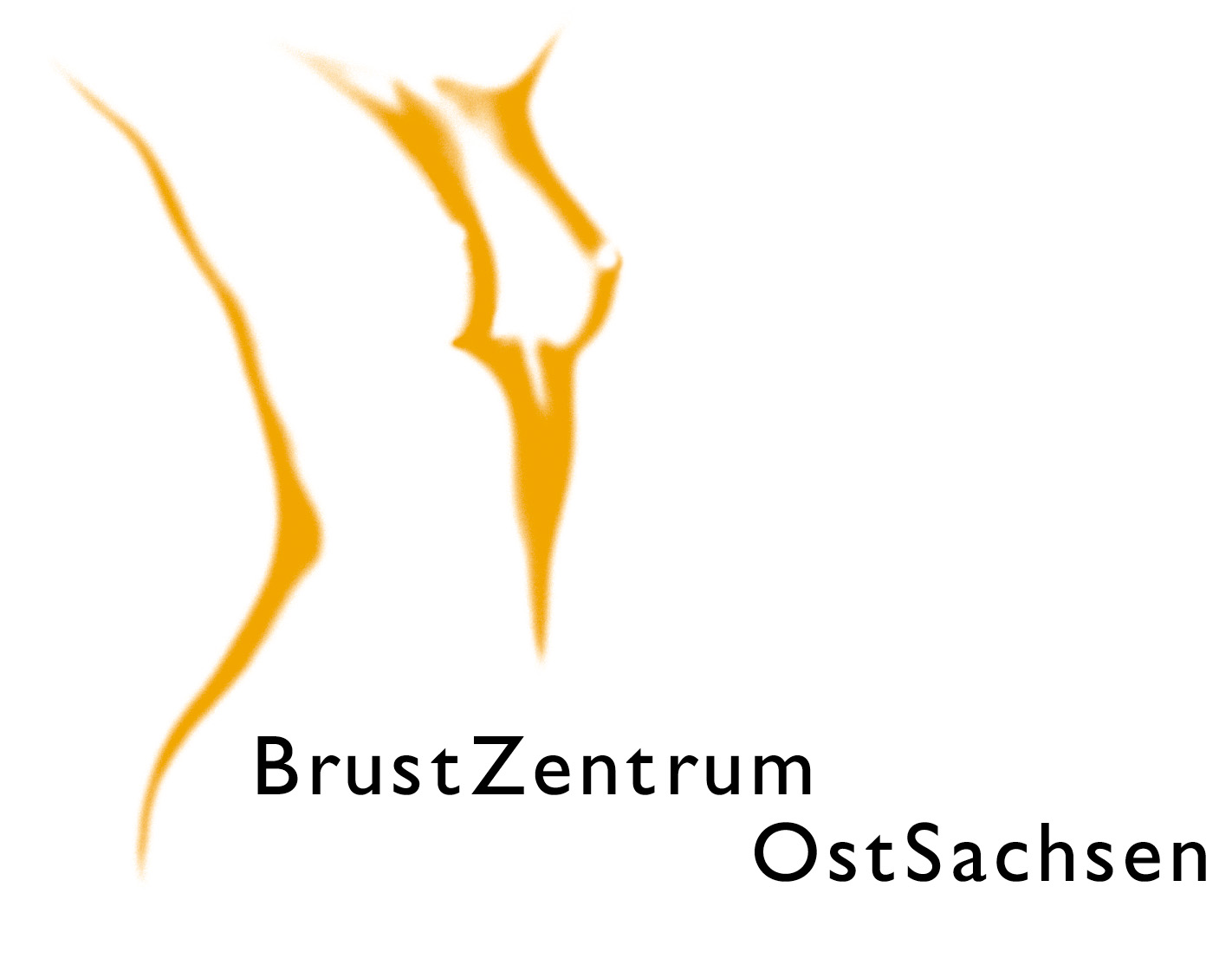 Logo Brustzentrum OstSachsen BZOS Logo
