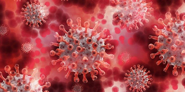 Coronavirus Coronavirus