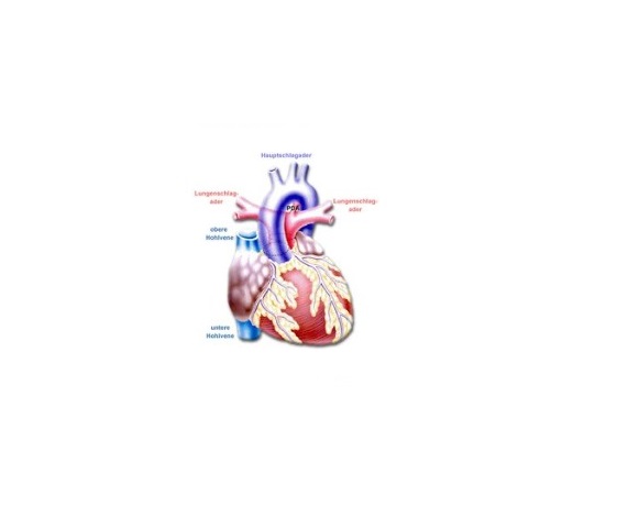 tga_dkhz_web tga_dkhz_web