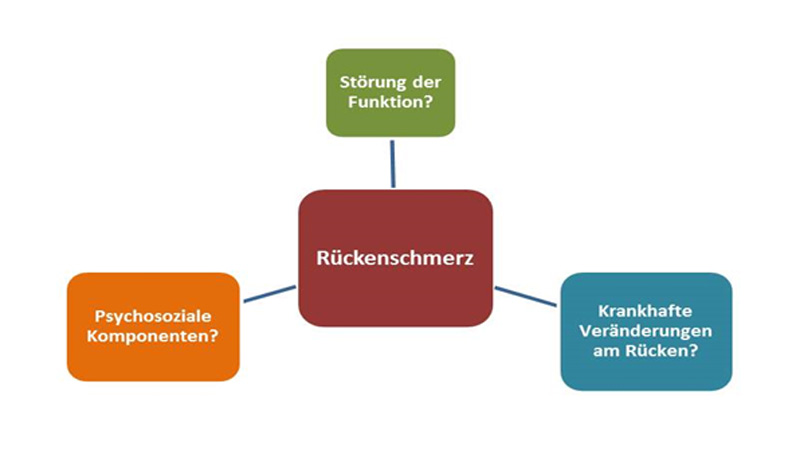 Grafik Rückenschmerzen Grafik Rückenschmerzen