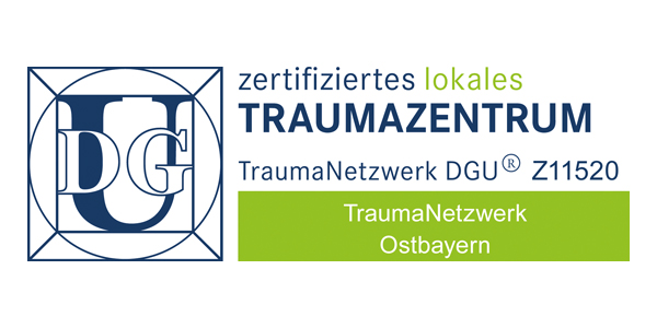 Traumanetzwerk Logo: Traumanetzwerk
