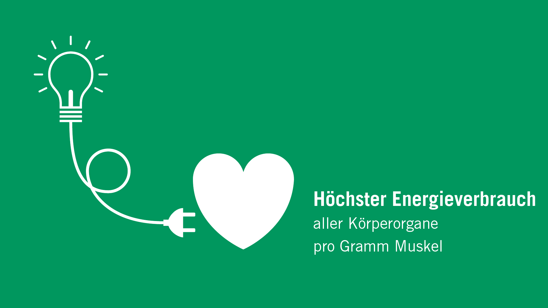 Asklepios Herzmedizin - Infografik zum Energieverbrauch Infografik zum Energieverbrauch - Asklepios Herzmedizin